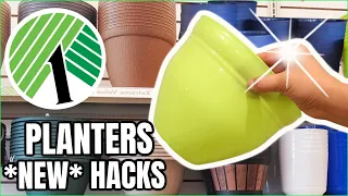 The genius NEW reason people are buying up Dollar Store Planters!