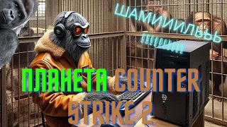 ЗООПАРК В Conter Strike 2!!!! ШАМИЛЬ ТАЩИТ!