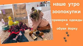 НАШЕ УТРО / ЗООПОКУПКИ / ОДЕЖДА И ОБУВЬ ДЛЯ ЙОРКА