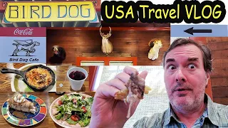 USA Travel Vlog: Mississippi Food at Bird Dog Cafe in Laurel, Mississippi