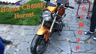 [Мотоподбор] Осмотр и оценка Honda CB600F Hornet 2005 года.  Живая легенда