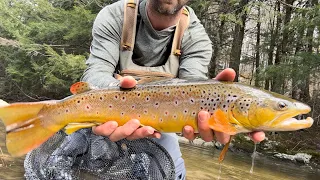 Fly Fishing Comp 1st and 2nd Place Finishes & Vermont Fly Fishing Report- Late April/ Early May