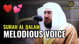 Surah Al Qalam -Bandar Baleela | Surah Qalam | The Pen |Quran recitation | Baleela | The holy dvd