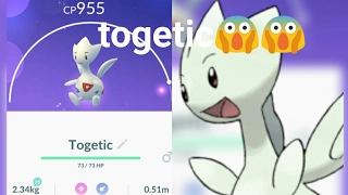 Pokemon go Rare pokemon(gen 2) caught togetic in just three balls