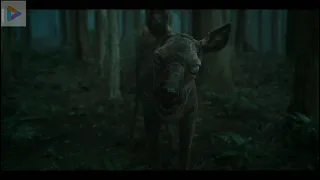 "Ashin Of The North" Zombie Deer VS Tiger Clip