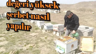 Arıya Protein Değeri Yüksek Olan Şerbet Nasıl Yapılır | detaylı anlatım ne fayda