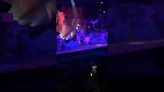 Lana Del Rey - Born To DIE in my Blue Jeans : LA To The Moon Tour - Chicago 1/11/18