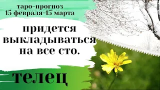 Телец все сферы жизни. Гадание на катах таро