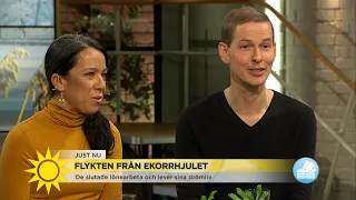 De lever sitt drömliv: ”Vi slutade jobba innan 40” - Nyhetsmorgon (TV4)