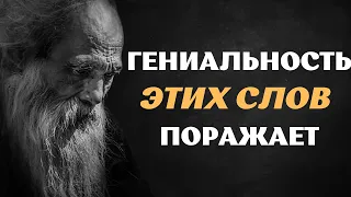 Мудрые Цитаты со Смыслом о Жизни! Слова Раскрывающие Правду