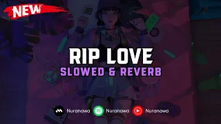 DJ Rip Love ( Slowed & Reverb ) 🎧