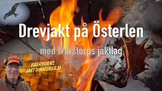 Drevjakt på Österlen. Ivarstorps Jaktlag