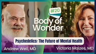 How Psychedelics Will Change the Future of Mental Health Treatment | Body of Wonder Podcast