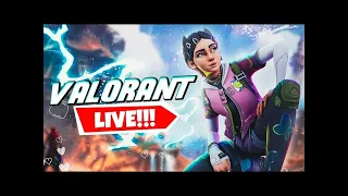 Streaming Till I reach Silver!Valorant Live Pubg Pc Done