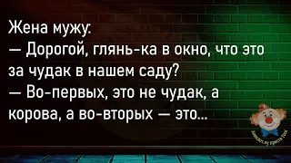 🔥Врач Подходит К Постели Больного...Большой Сборник Смешных Анекдотов,Для Супер Настроения!