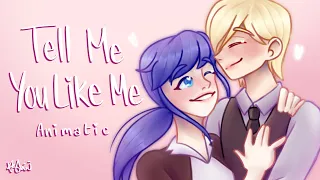 Tell Me You Like Me - Miraculous Ladybug Felix and Bridgette Animatic (read desc for the story)