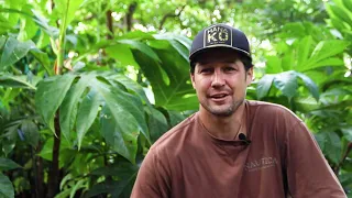 ʻUlu Agroforestry Series: Multi-Story Cropping – Then & Now