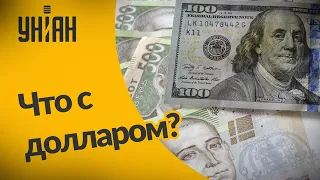 Почему гривна продолжает укрепляться по отношению к доллару?