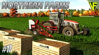 How I Should Have Done It! | Northern Farms | FS22 Start From Scratch