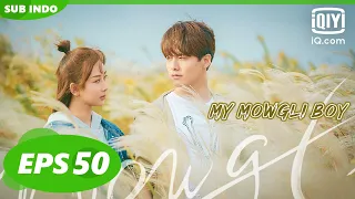 【FULL】My Mowgli Boy EP50【INDO SUB】| iQiyi Indonesia