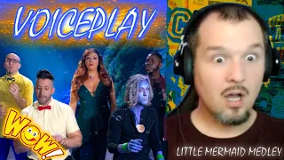 Saucey Reacts | VoicePlay - Little Mermaid MEDLEY (Feat. Rachel Potter) | They NAILED This OMG!!