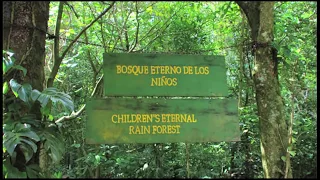 The Children's Eternal Rainforest