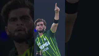 Shaheen Shah Afridi's All Wickets vs New Zealand in T20I Series 2024 #PAKvNZ | #AaTenuMatchDikhawan