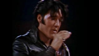 Elvis: 'Blue Suede Shoes' (The 1969 Fantasy Concert DVD)