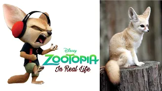 Zootopia: All Characters In Real Life