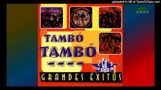 TAMBO TAMBO 20 GRANDES EXITOS - CUMBIA DEL RECUERDO