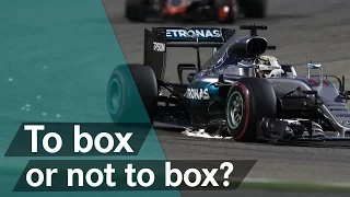 F1 2016 Explained: Assessing car damage live!