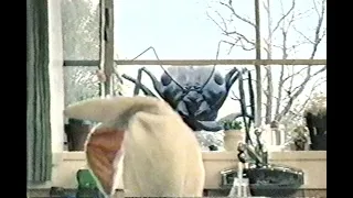 2003 Got milk? giant ant commercial