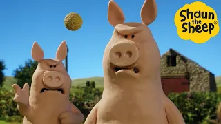 Shaun the Sheep 🐑 Pig Panic - Cartoons for Kids 🐑 Full Episodes Compilation [1 hour]
