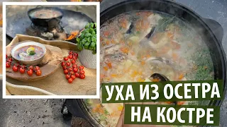 Уха в казане на костре из осетра