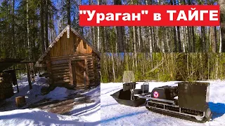 Держись ТАЙГА, тебя ждёт "УРАГАН"!