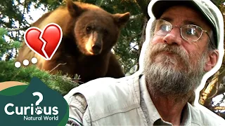 A Bear That Turned EVERYTHING Upside Down! 💔 | The Bear Whisperer | Curious?: Natural World