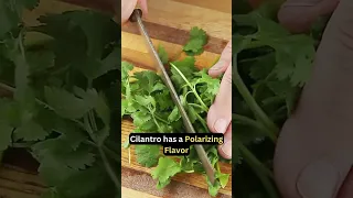 Cilantro: Love it or Hate it? Shocking Truths!