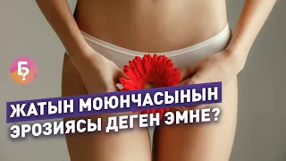 Жатын моюнчасынын эрозиясы деген эмне? Гинеколог Эльвира Кадыркулова жооп берди