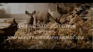 Sony World Photography Awards 2018