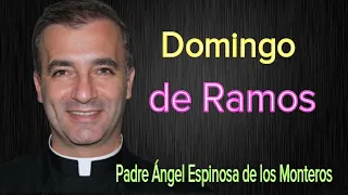 Padre Ángel Espinosa de los Monteros - Domingo de Ramos