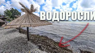 Геленджик 2021/Грязные пляжи, холодное море