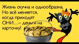 ✔️Не знаете, куда сейчас лучше вложить деньги?  Мой карман всегда к вашим услугам! Анекдоты с Волком