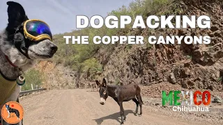 Dogpacking the Copper Canyons_Mexico_Episode_1