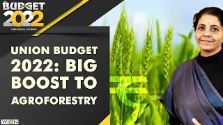 FM Nirmala Sitharaman presents Union Budget 2022: Modi government's big push for agroforestry