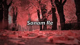 Sanam Re (Lyrics) | Pulkit Samrat, Yami Gautam, Urvashi Rautela | Divya Khosla Kumar