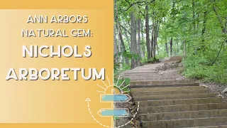 Explore Ann Arbor's Best Kept Secret: Nichol's Arboretum