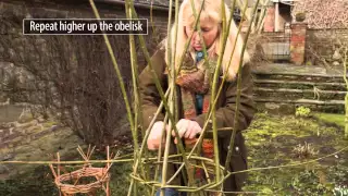 How to make a willow obelisk plant support