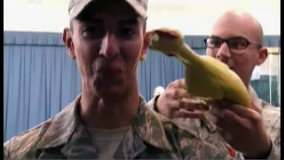 Невозмутимость военнослужащих в США проверяют с помощью курицы ВИДЕО