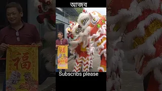 lion dance.#shorts #viral #H.M.Arman 93.