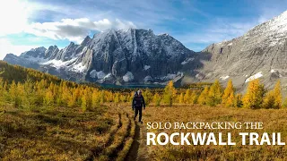 Solo Backpacking the Spectacular Rockwall Trail in Larch Season